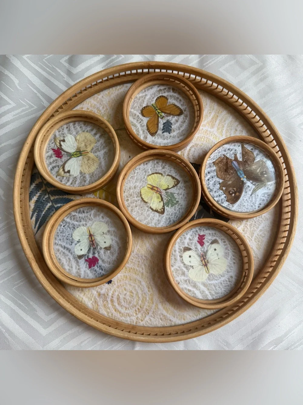 READ VTG Taxidermy Butterfly Coasters and Wicker Tray Bamboo Dried Flowers
